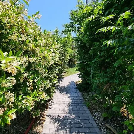 Vila Vanya *