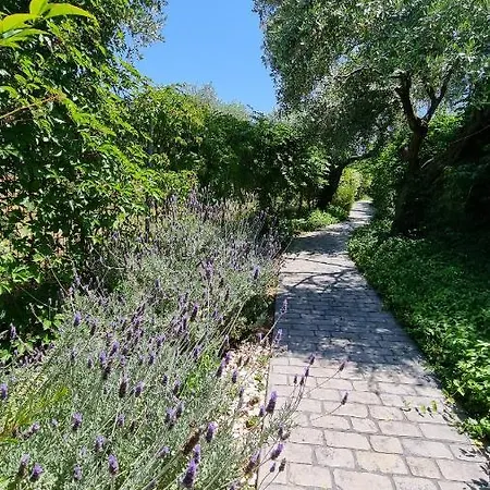 Vila Vanya *