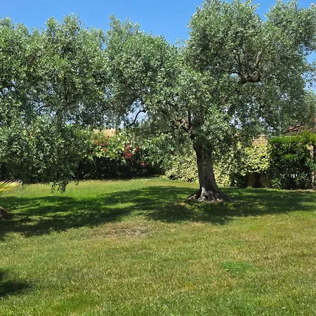 Vila Vanya