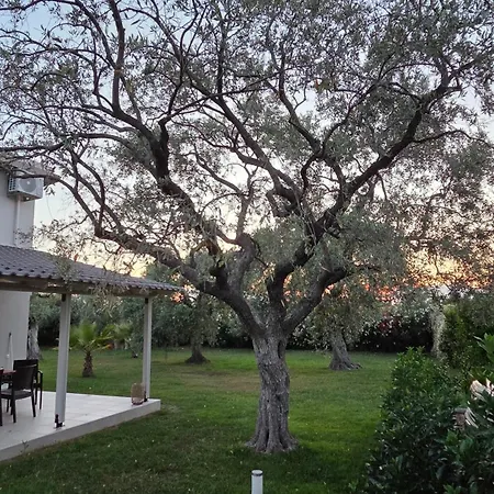Vanya Skala Rachoni (Thasos)
