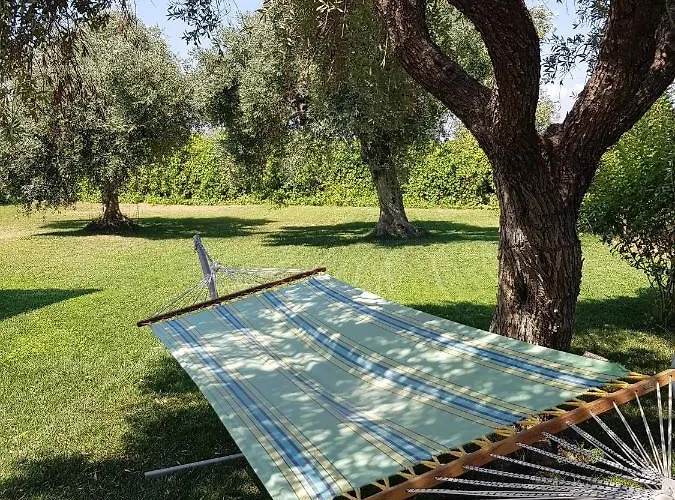 Vanya * Σκάλα Ραχωνίου