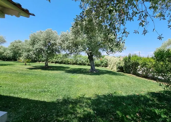 Vanya * Σκάλα Ραχωνίου