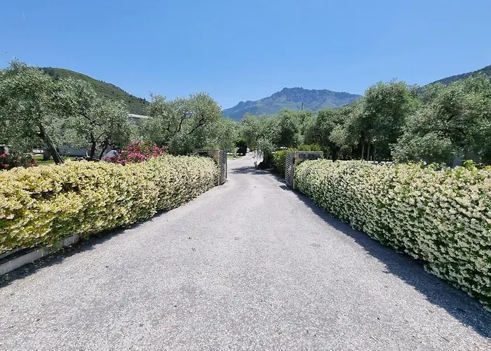 Vanya Σκάλα Ραχωνίου